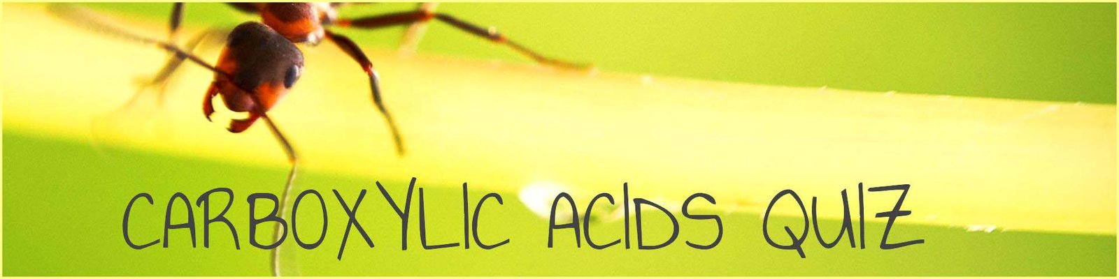 Header image- fermentation and direct hydration.